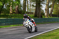 cadwell-no-limits-trackday;cadwell-park;cadwell-park-photographs;cadwell-trackday-photographs;enduro-digital-images;event-digital-images;eventdigitalimages;no-limits-trackdays;peter-wileman-photography;racing-digital-images;trackday-digital-images;trackday-photos